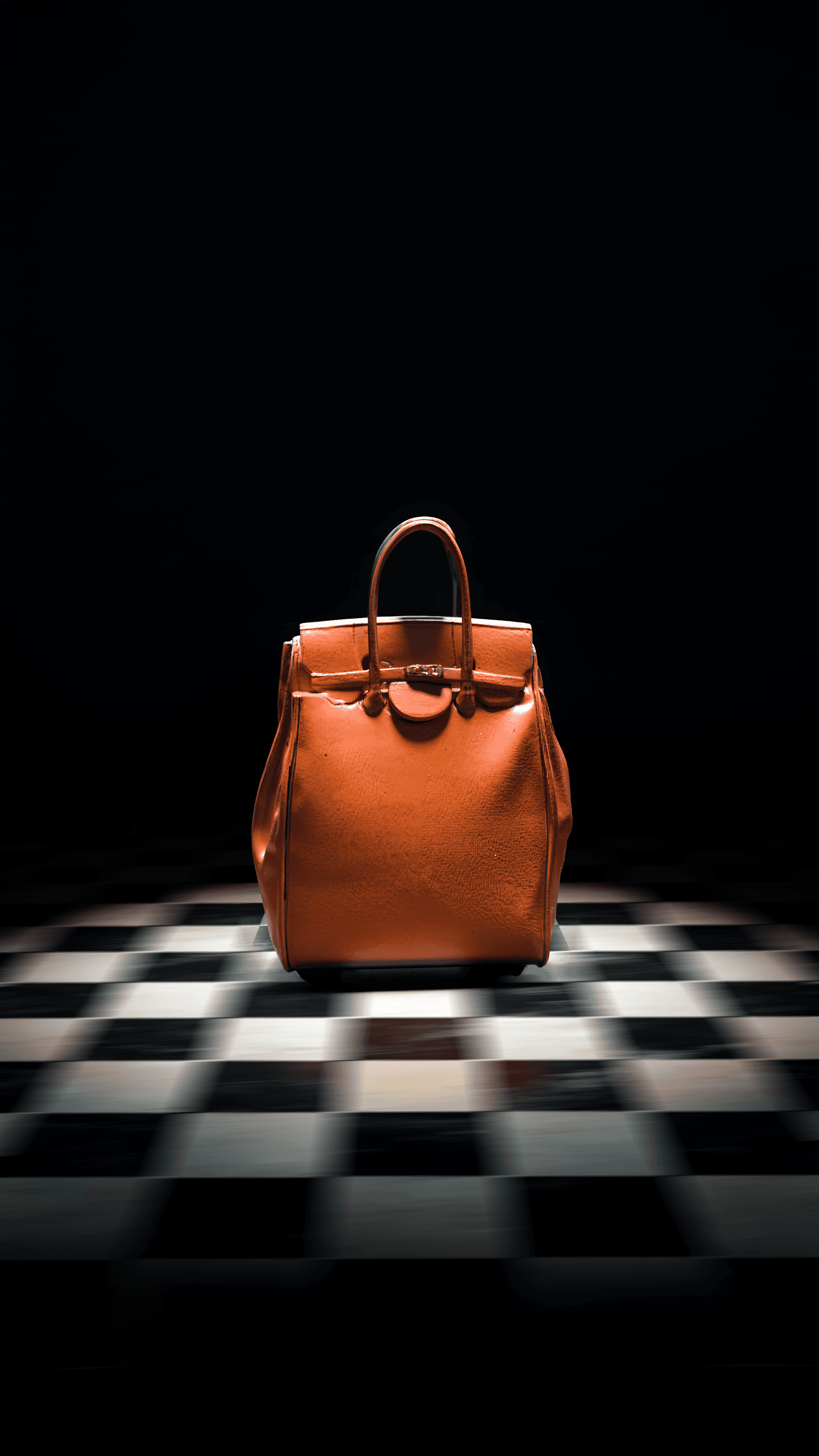 Trolley Luxury Bag